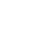 Stanford University